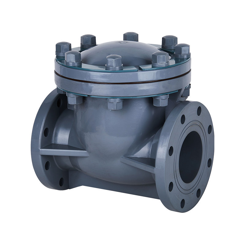 CPVC Swing Type Check Valve DN15-300