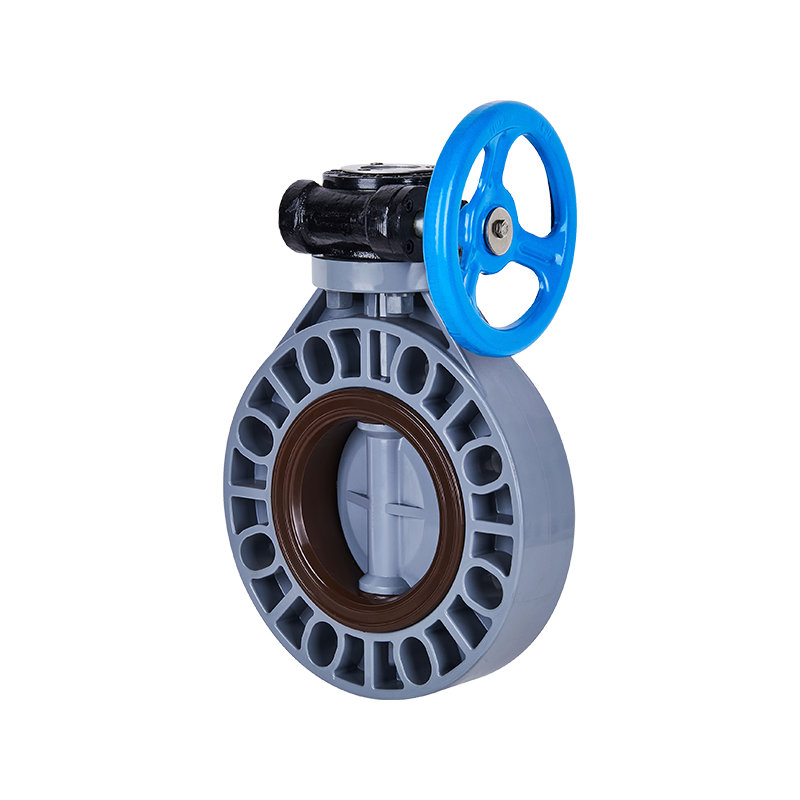 CPVC Type B Worm-Gear Butterfly Valve DN40-200