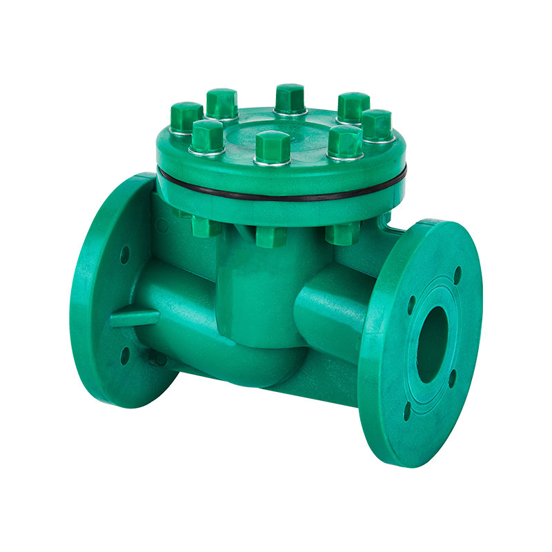 FRPP Life Type Check Valve DN40-80