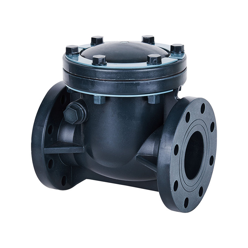 FRPP Swing Type Check Valve DN15-300