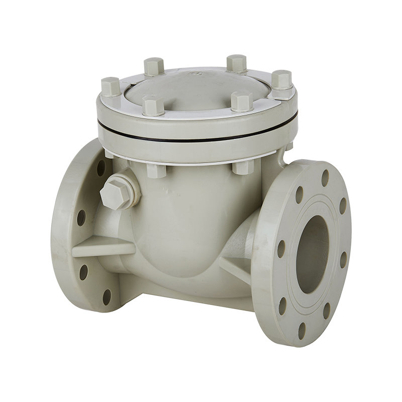 PPH Swing Type Check Valve DN15-300