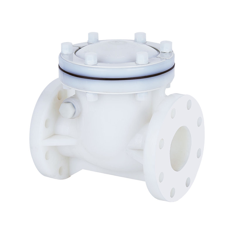 PVDF Swing Type Check Valve DN15-300